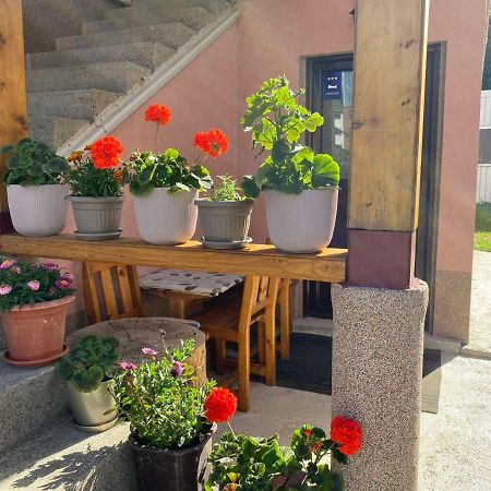 ŽabljakApartman Kaljevic公寓 外观 照片