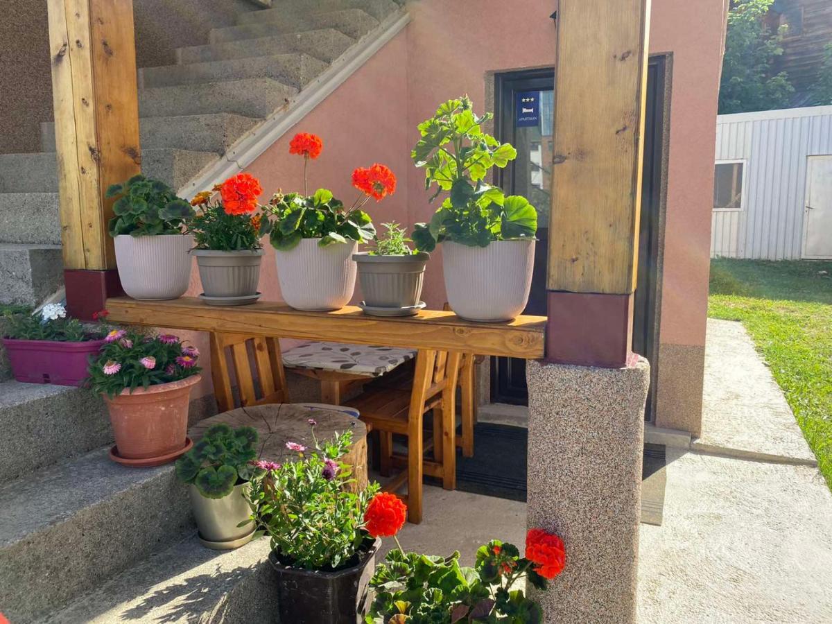 ŽabljakApartman Kaljevic公寓 外观 照片